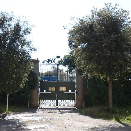 Villa Anselmi - Arteindiretta Livourne Extérieur photo